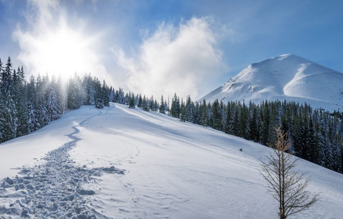 Зимовий похід на Говерлу і Петрос