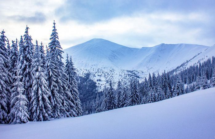 goverla_winter_2